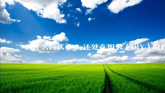 为什么台式 PC 还处在组装（DIY）阶段？
