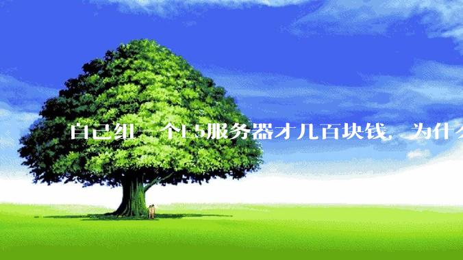 自己组一个E5服务器才几百块钱，为什么去阿里云租这么贵?